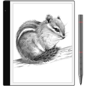 Bigme InkNoteS 10.3" (included stylus and magnetic cover)