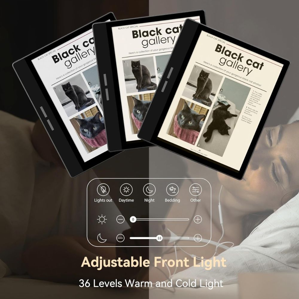 Bigme B751C Color Ebook Reader 7 Inch (Case and Stylus Included) - Image 5